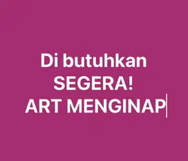 Dibutuhkan segera ART + MOMONG