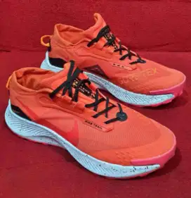 Nike Pegasus Trail Run Gore-Tex 3 Size 44