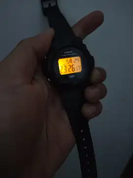Casio W-219H WR