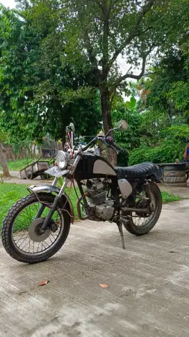 Motor Custom Tiger