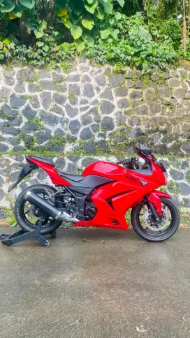 Kawasaki Ninja 250 karbu