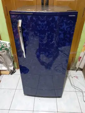 Kulkas 1 pintu toshiba bunga