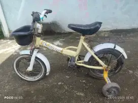 Sepedah Anak 12