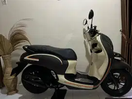 Scoopy 2023 lengkap hidup