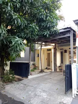 JUAL RUMAH 1 LANTAI DIPERUMAHAN SERPONG PARK TANGERANG