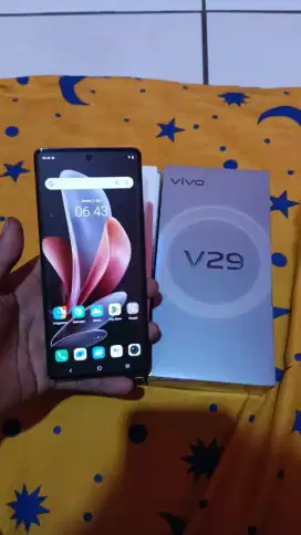 Vivo V29 5G 12/512