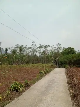 LAHAN Luas 1.098m2