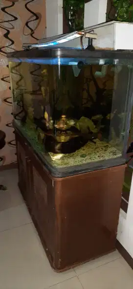 Dijual Aquarium