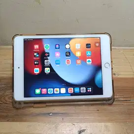 Ipad Mini 4 Wifi 64 GB