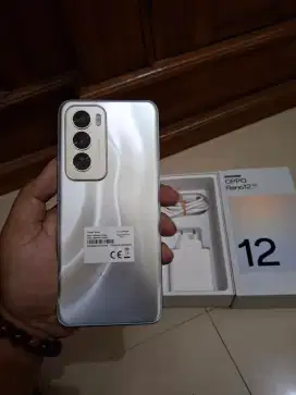 Oppo Reno 12 5g ram 12/256 fulset original