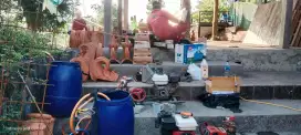 Anti rayap dan pestcontrol