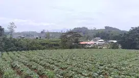 Kavling Tanah dekat Golden Tulip Batu Malang