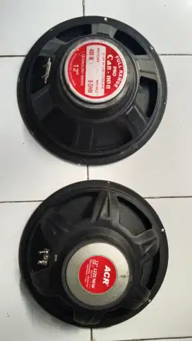 2 Speaker full range 12inch