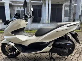 PCX 160 2023 Putih