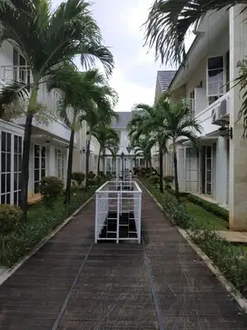 Sewa rumah siap huni di cluster melrose cilandak Jaksel