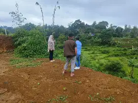 Tanah Murah SHM luas 522 m2 puncak bogor