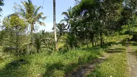 jual tanah lokasi gadungan seltim lt 40 are hrg 17 jt/are