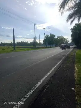 JUAL TANAH DI JALAN NASIONAL SOGAN WATES MURAH