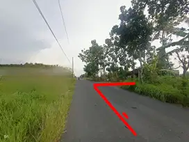 Tanah Sawah Murah Tepi Jalan Dekat Jalan Raya Di Jogja Barat
