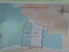 Di Jual Tanah Murah di Margamulya Cileles Lebak Banten