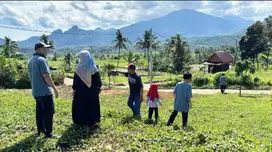 Jual Murah Tanah Kosong Bonus Pohon Mangga Jalan Sudah Cor Ada Listrik