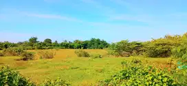 Tanah 9901 M2 Dkt Pelabuhan Pengambengan Negara Jembrana Bali