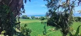 jual tanah los pantai Beach front jembrana