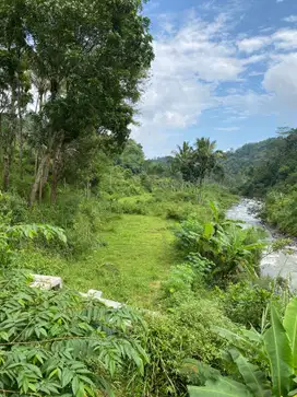 Tanah bagus langka view sungai pegunungan bumijawa guci tegal jateng