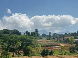 Tanah dijual cepat luas 10.000m2 di puncak, 900mdpl