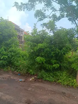 dijual tanah dekat SMP negeri 5 kutuh Kuta Selatan Badung Bali