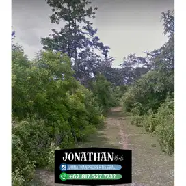 Dijual. Lahan Pantai Balangan - Lskt