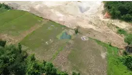 Jual Tanah di Singabraja, Jalan Raya Tenjo - Bogor, Jawa Barat