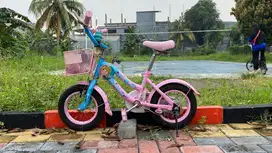 Dijual sepeda Element Edisi Frozen