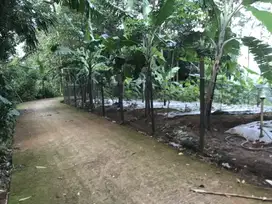 Di Jual Tanah Di Lingkungan Asri Udara Sejuk,Cocok Untuk Villa