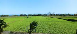 Dijual tanah Los pantai Pulukan, Medewi, Jembrana Bali