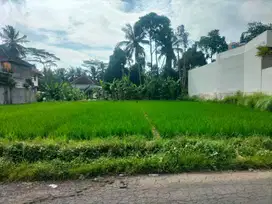 Dijual tanah murah Tirta Tawar Ubud