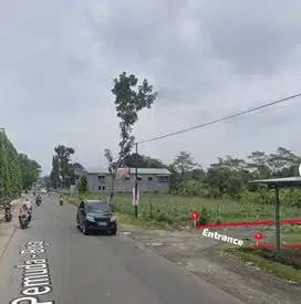 TANAH LUAS, BOJA KENDAL