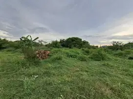 DIJUAL CEPAT TANAH DIBAWAH NJOP PINGGIR JALAN RAYA GUNUNG SINDUR