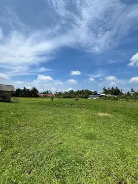 Land For Rent 9 are in area Pejeng Ubud