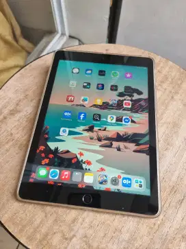 ipad 5 gen mulus