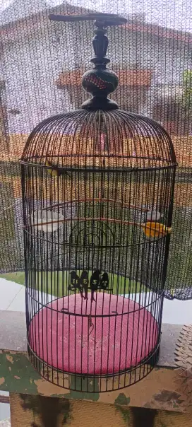 sangkar lovebird + sogon