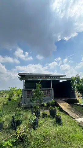 Dijual Rumah dan Kebun Luas di Majalengka