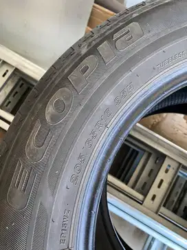 Ban bridgestone ecopia 205 65 R16