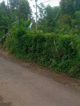 Tanah pinggir jalan desa murah 100 bata,