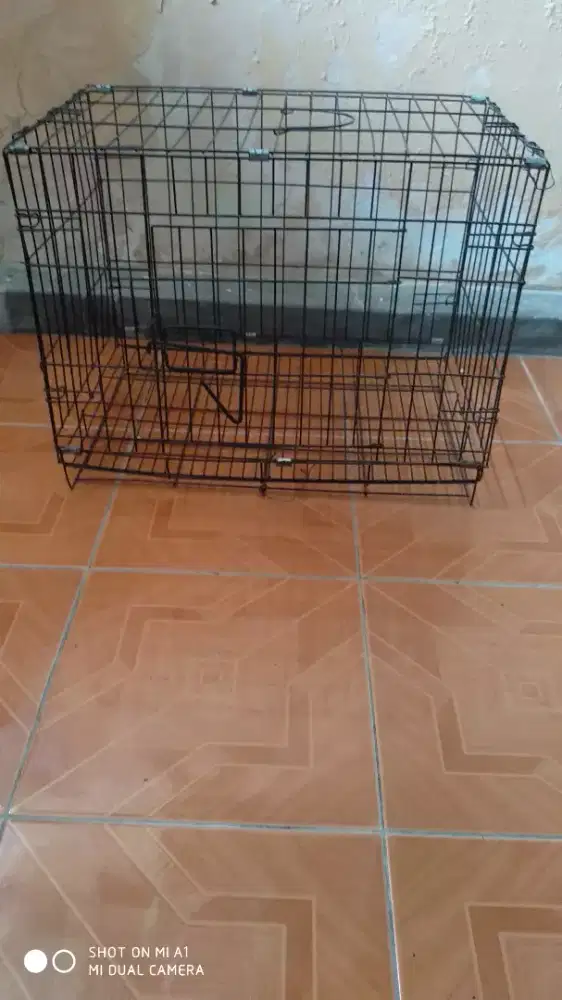Kandang kucing sedang