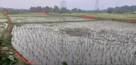 Dijual Sawah SHM