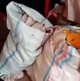 Jual rugi bal jaket cowok cewek dewasa