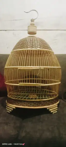 Sangkar perkutut baru