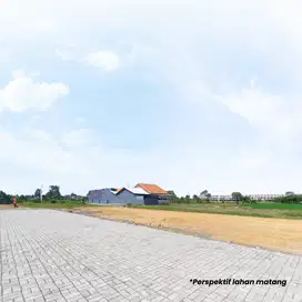 Tanah Kavling Murah Cifor Bogor, Pinggir Jalan Free SHM