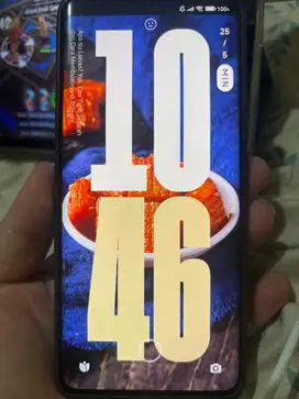 Xiaomi redmi note 13 pro plus 12/512